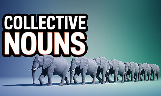 Collective Nouns